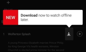Download button for Netflix