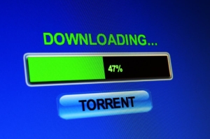Example of a torrent download